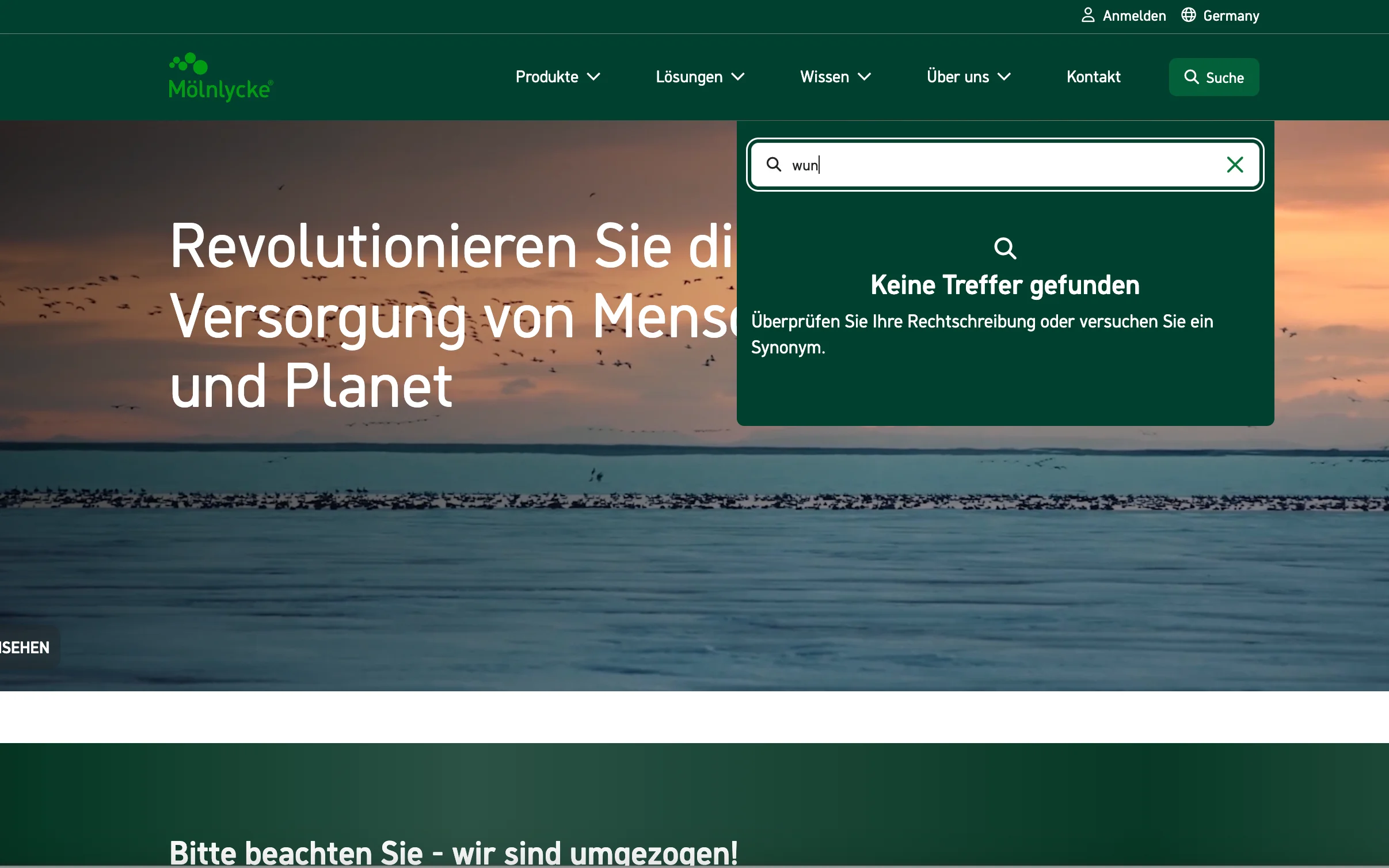 Screenshot-Beleg: Mölnlycke Health Care — Kriterium 2.3 Suchvorschläge während der Eingabe