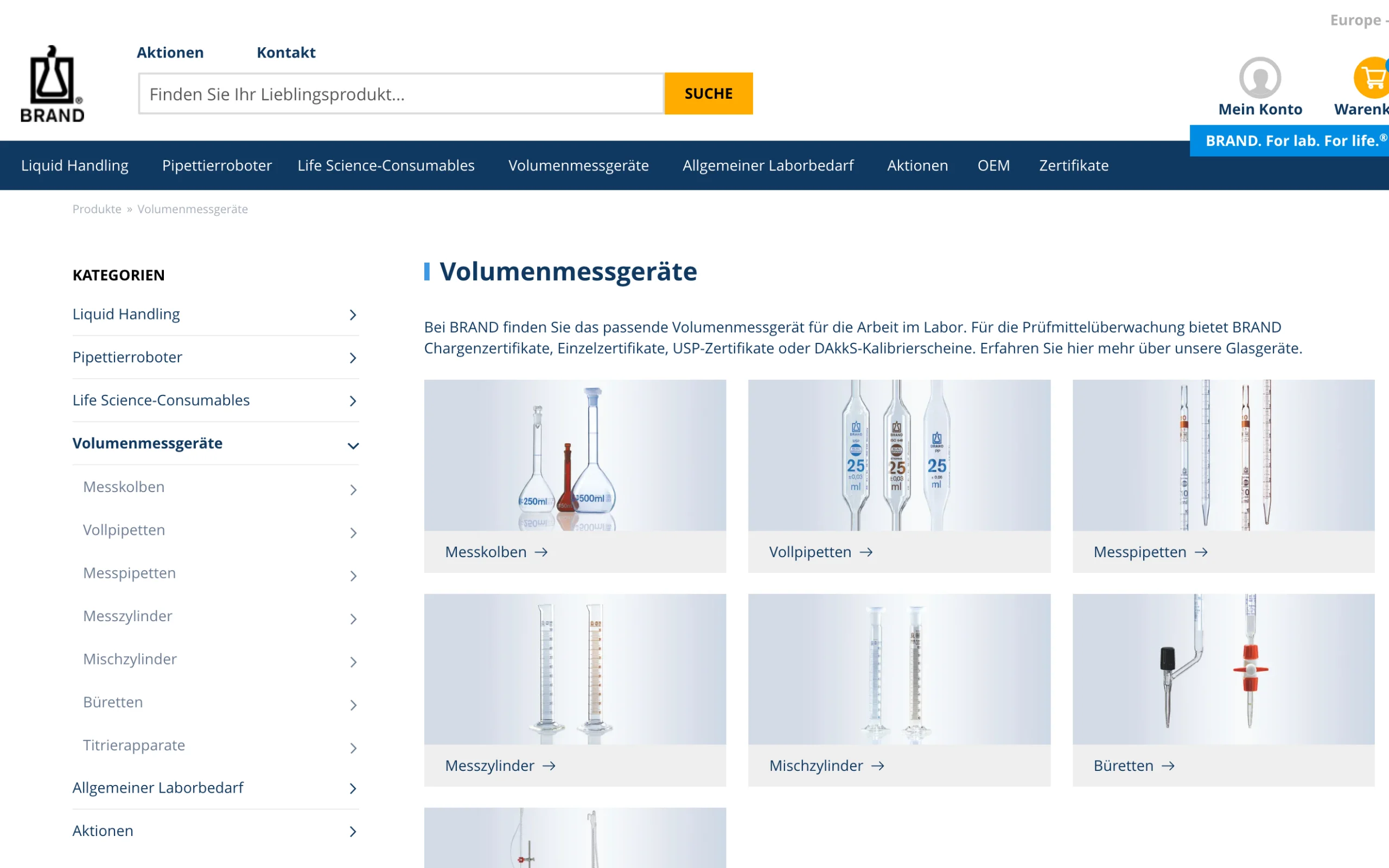 Screenshot-Beleg: Brand (Brandtech) — Kriterium 2.1 Suchfeld persistent in Top-Bar