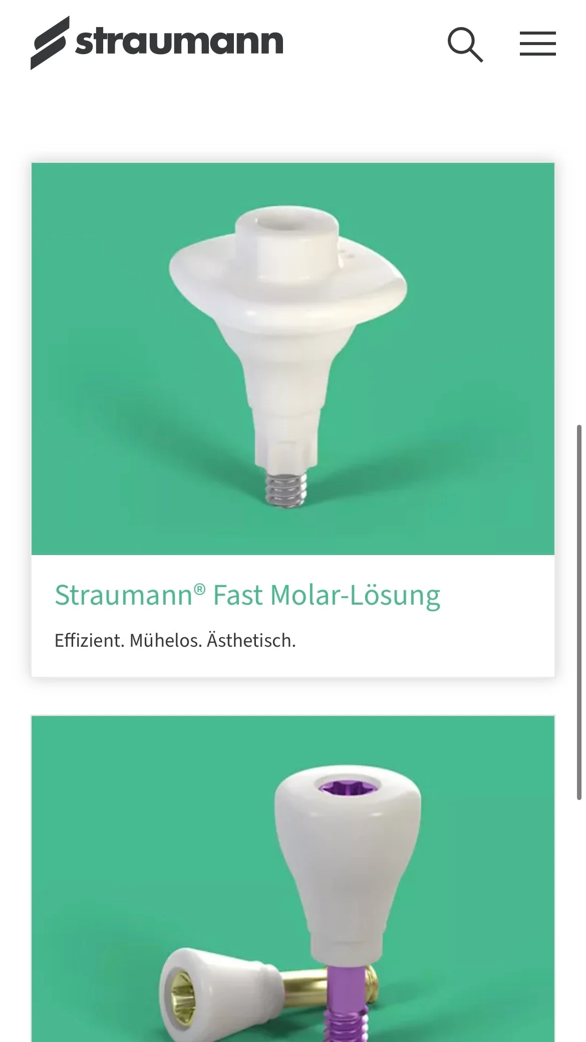 Weiterer Beleg: Straumann Group — Kriterium 7.5