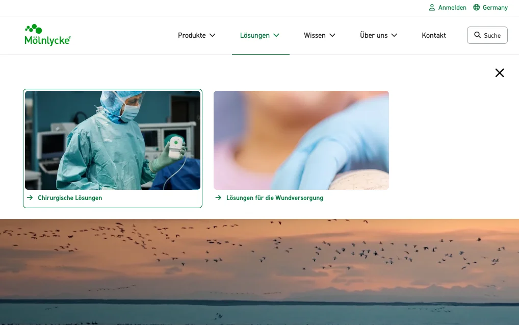 Screenshot-Beleg: Mölnlycke Health Care — Kriterium 2.5 Einstieg über Anwendung