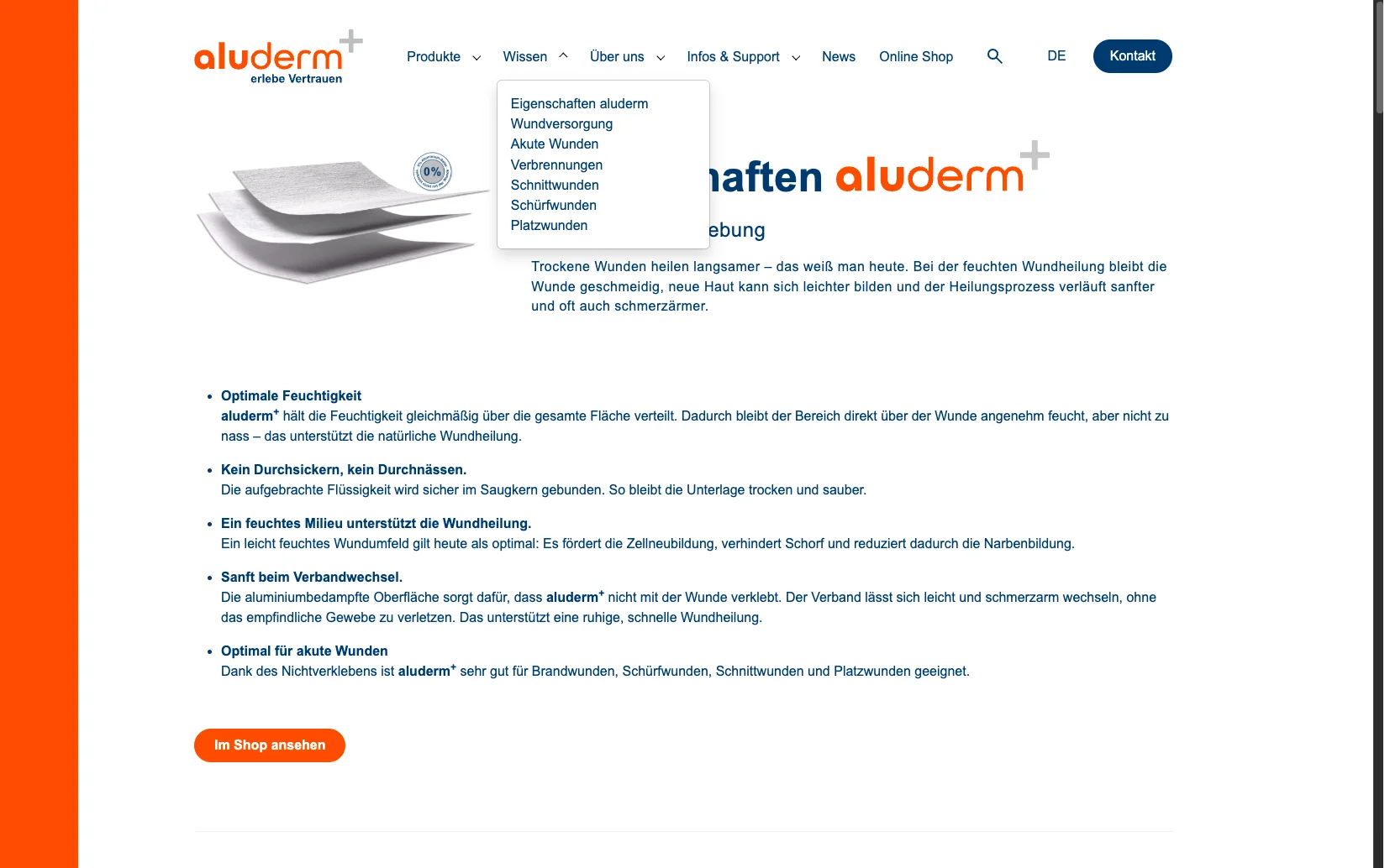 Screenshot-Beleg: Söhngen — Kriterium 2.5 Einstieg über Anwendung