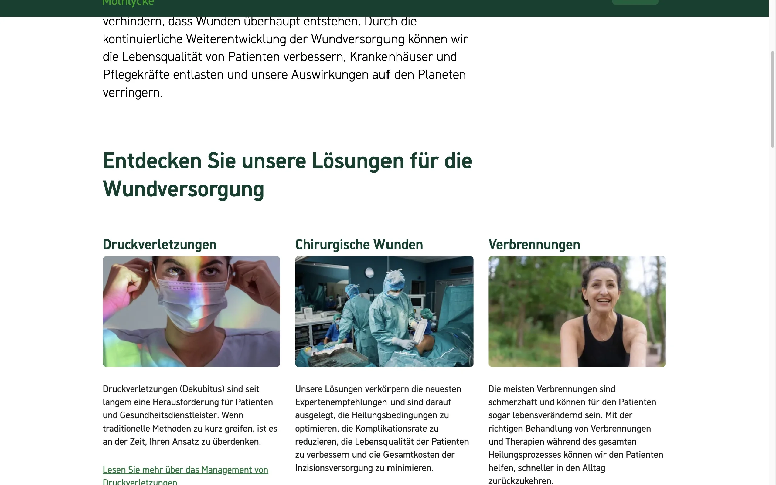 Screenshot-Beleg: Mölnlycke Health Care — Kriterium 2.5 Einstieg über Anwendung