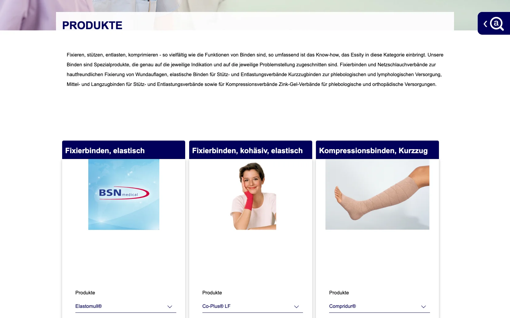Screenshot-Beleg: Medical Essity — Kriterium 1.1 Öffentlicher Katalog-Zugang