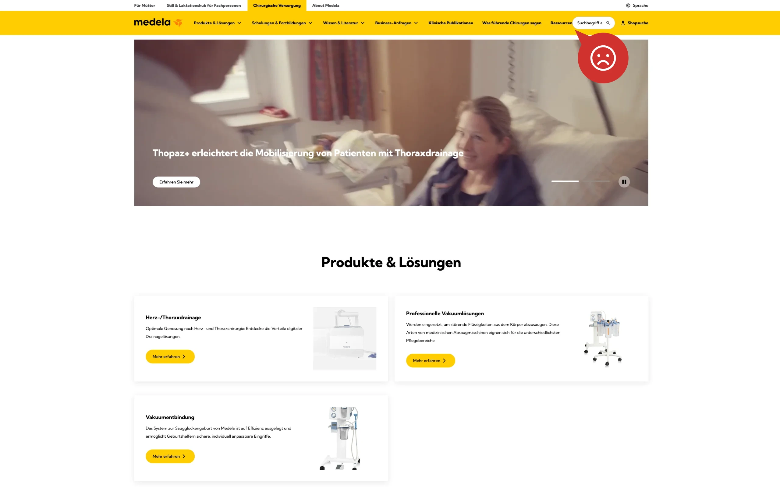 Weiterer Beleg: Medela — Kriterium 2.1