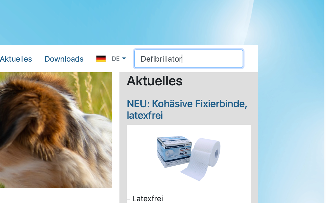 Screenshot-Beleg: Holthaus Medical — Kriterium 2.3 Suchvorschläge während der Eingabe