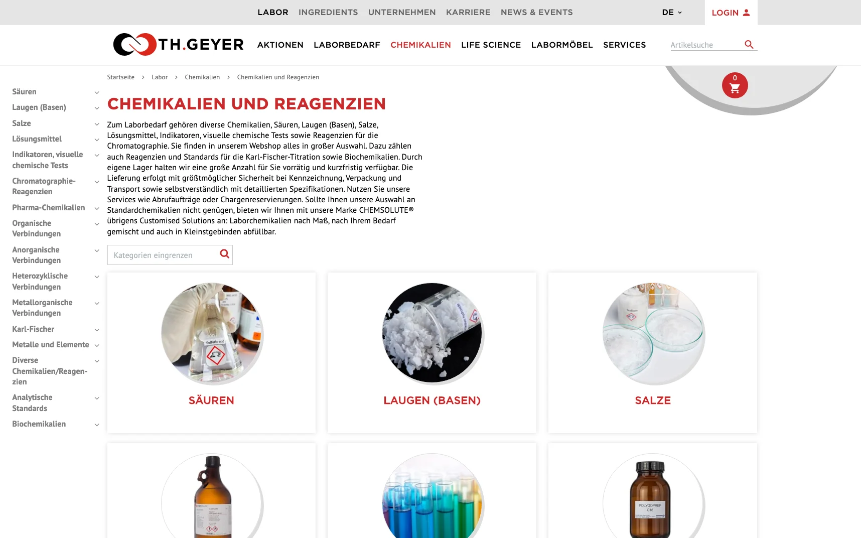 Screenshot-Beleg: Th. Geyer — Kriterium 2.4 Mega-Menü / Hauptnavigation