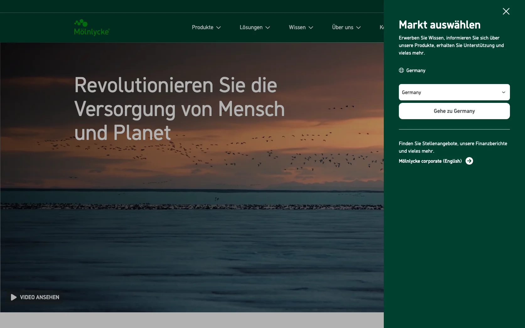 Screenshot-Beleg: Mölnlycke Health Care — Kriterium 1.5 Sprachauswahl