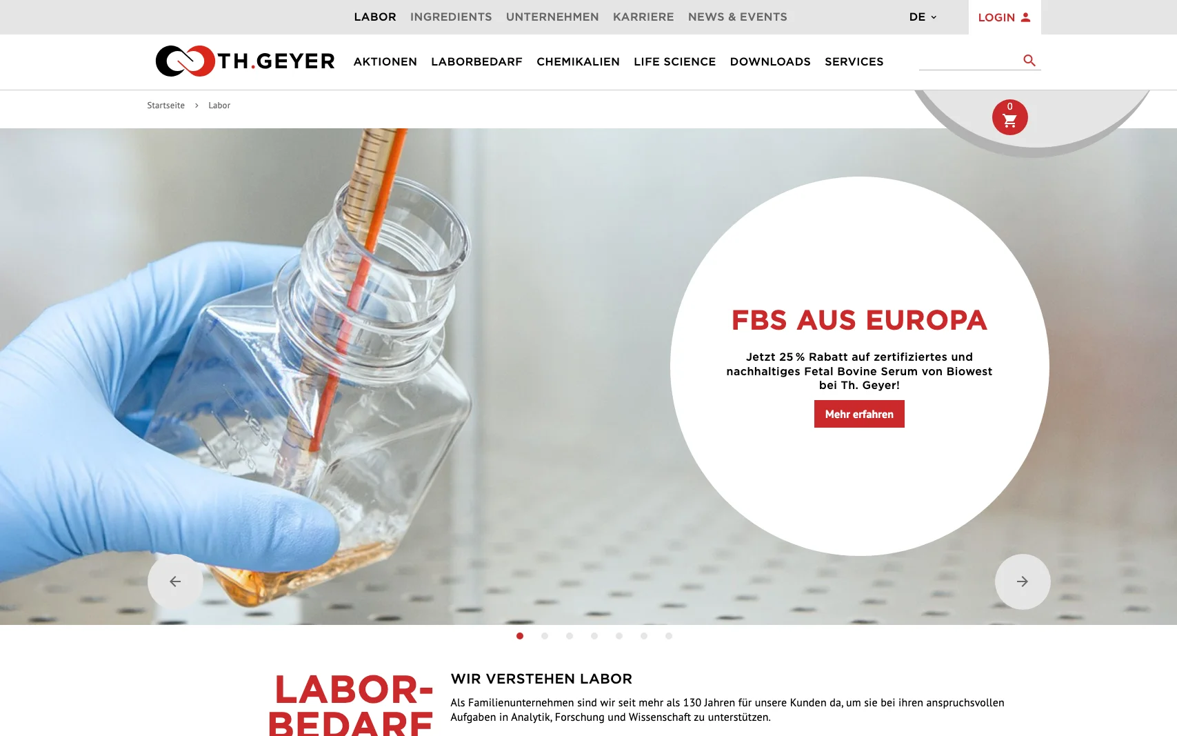 Screenshot-Beleg: Th. Geyer — Kriterium 1.4 Design & Gesamteindruck