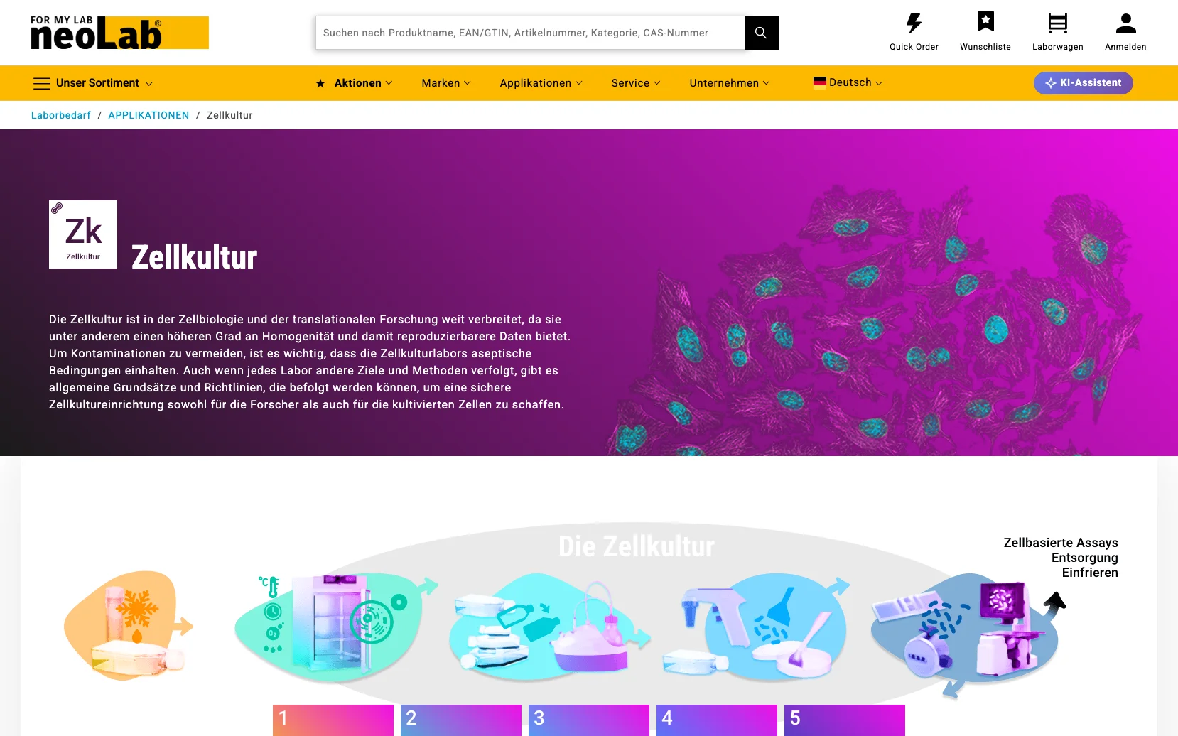 Screenshot-Beleg: neoLab — Kriterium 6.7 Content-/Ratgeber-Bereich